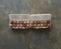 1 Dozen - Farm Fresh Eggs